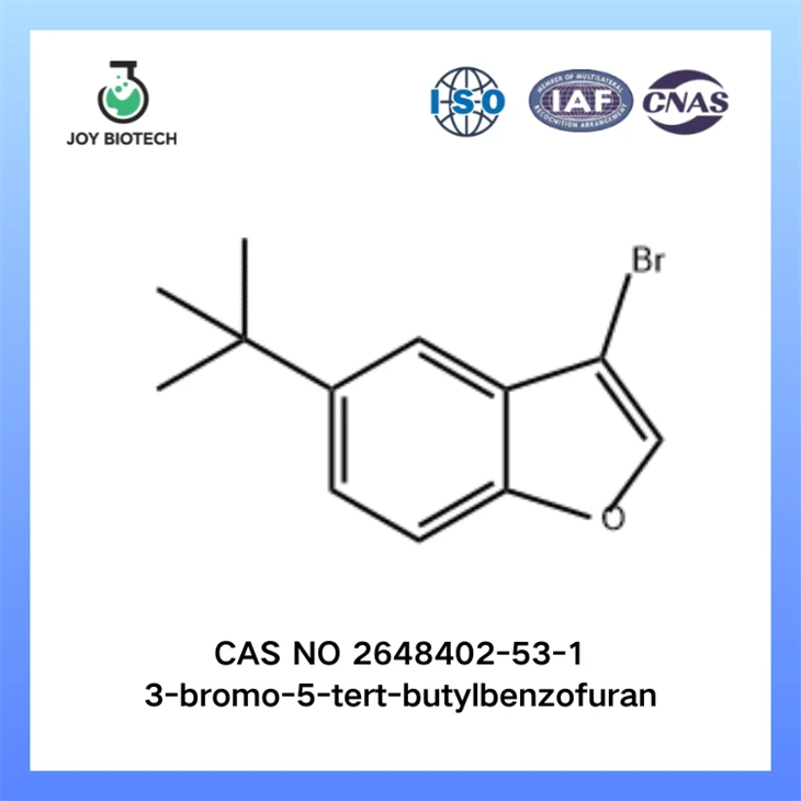 3-bromo-5-tert-butylbenzofuran CAS NO 2648402-53-1