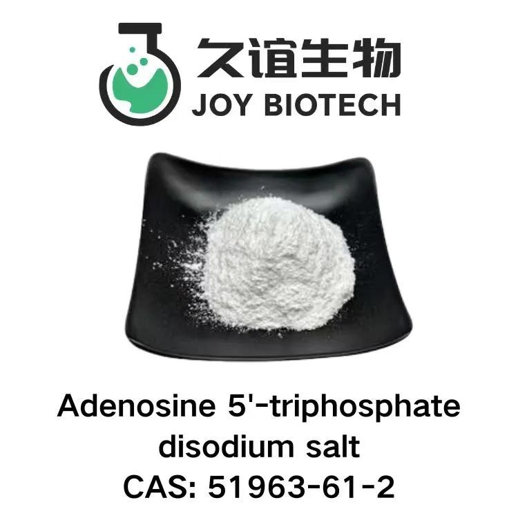 Adenosine 5'-triphosphate Disodium Salt CAS 51963-61-2 suppliers